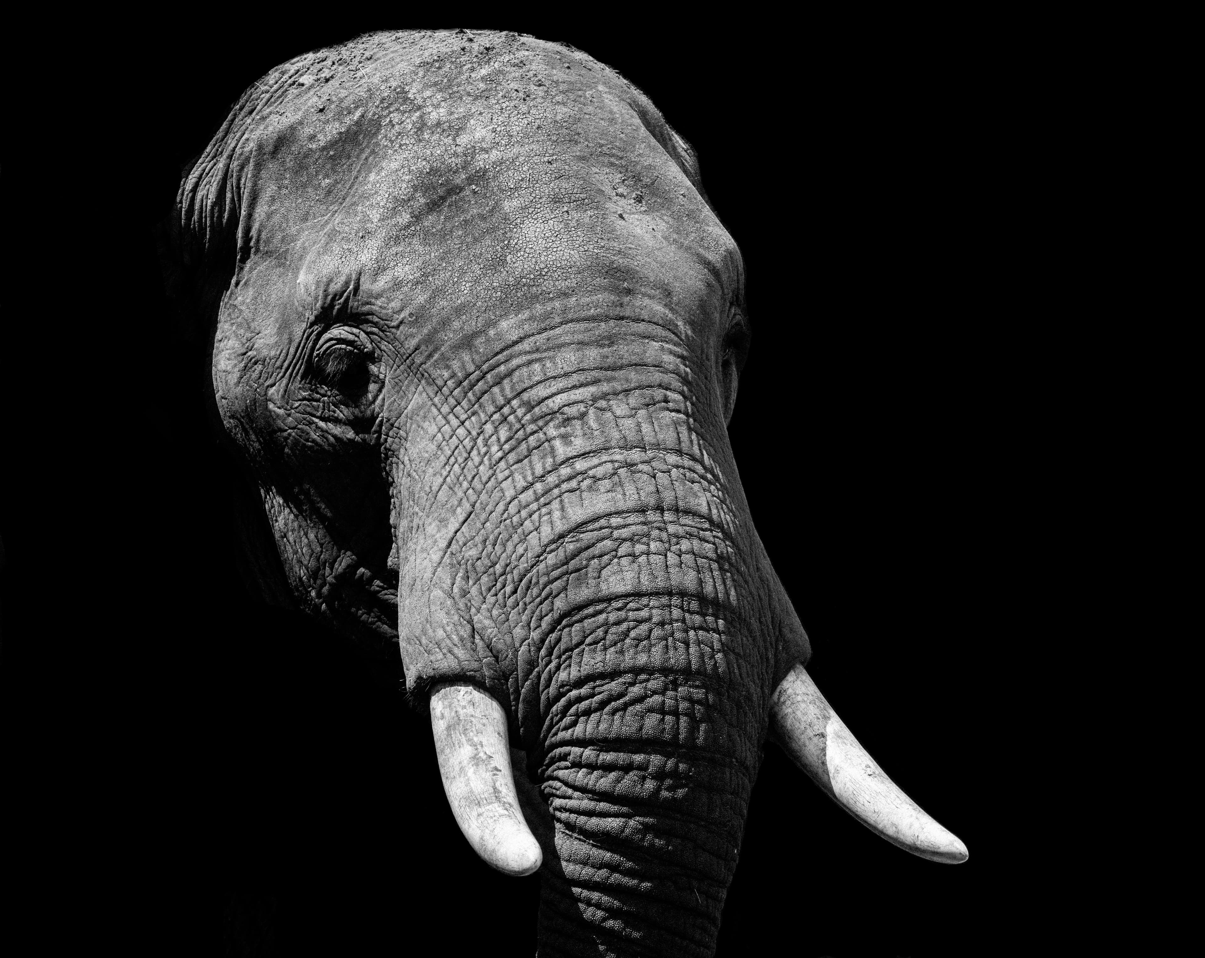 the big five