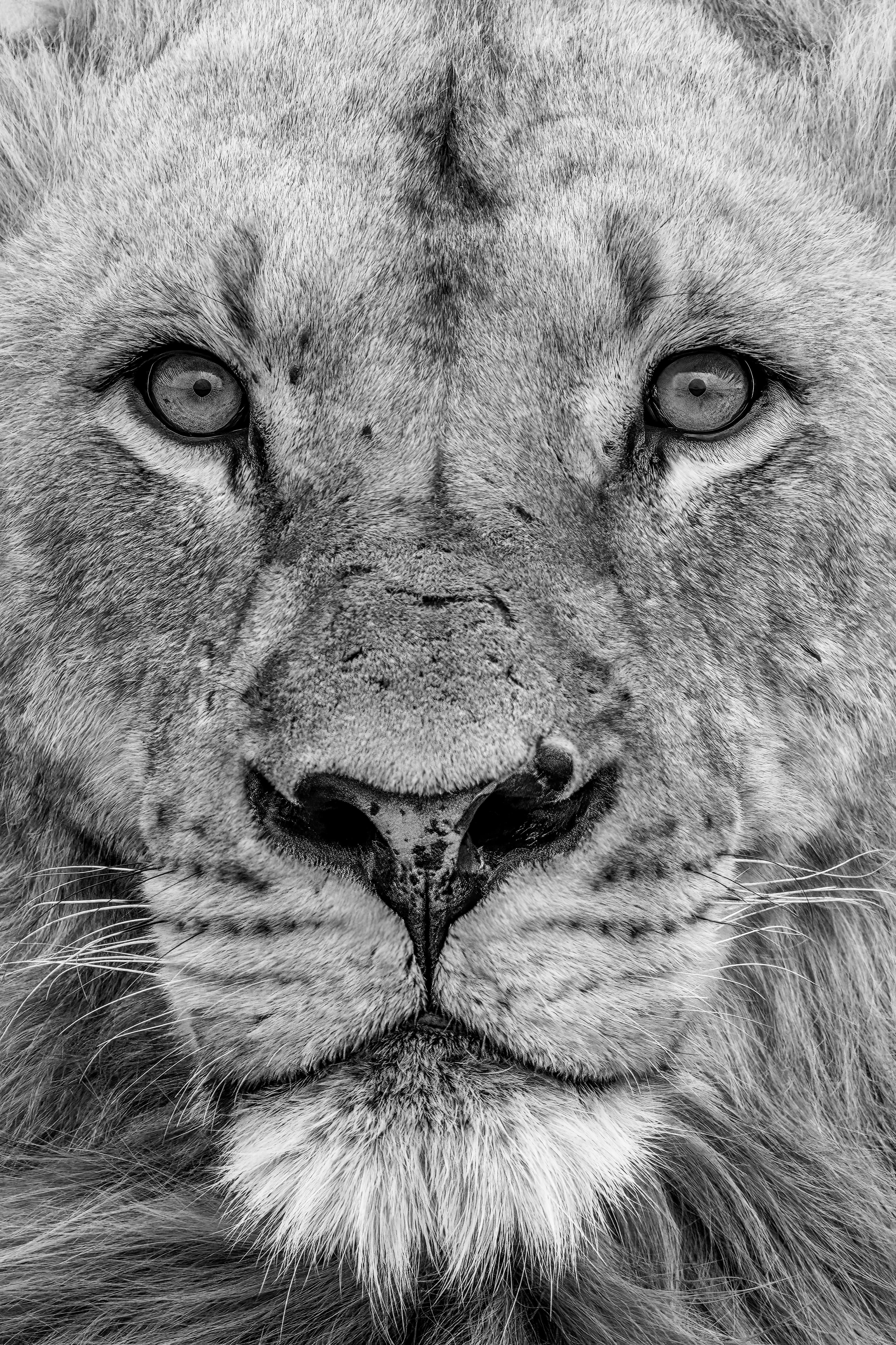the big five